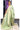 Banarasi Linen Saree With Embroidery Motiff | Pastel Green