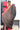 Jute Cotton with Zari Border | Gray + red