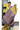 Jute Khadi Saree With Abstract Brushstroke Design  | Lime Green + Violet