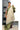 Linen Tussar Saree With Leheriya Design | Olive Green + Beige