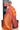 Zari Tussar Saree With Dot Line Design | Light Orange + Coral Red
