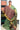 Silk Cotton Saree With Checked Pattern | Parrot Green + Maroon