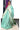 Banarasi Soft Silk With Mono Colour | Robins Blue