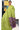 Linen Saree with Digital Print | Parrot Green + Violet