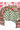Unstitched Salwar Set - Mul Mul Cotton | Green + Pink