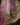 Premium Tussar Silk Saree With Zari Weaving | Mauve + Sand